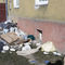 Olsztyn: Wyrzucał śmieci pod okna sąsiadów