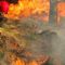 Strażacy apelują, by nie wypalać traw. Już 52 takie pożary w woj. warmińsko-mazurskim
