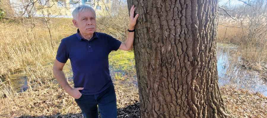 Jerzy Buczyński walczy o to, aby dęby Adam i Ewa stały się pomnikami przyrody