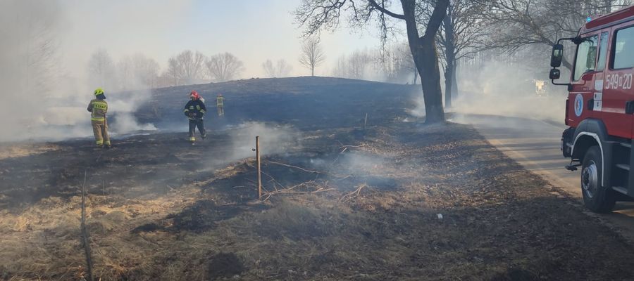 W okolicach Nowych Gut spaliło się około 3 ha pastwiska
