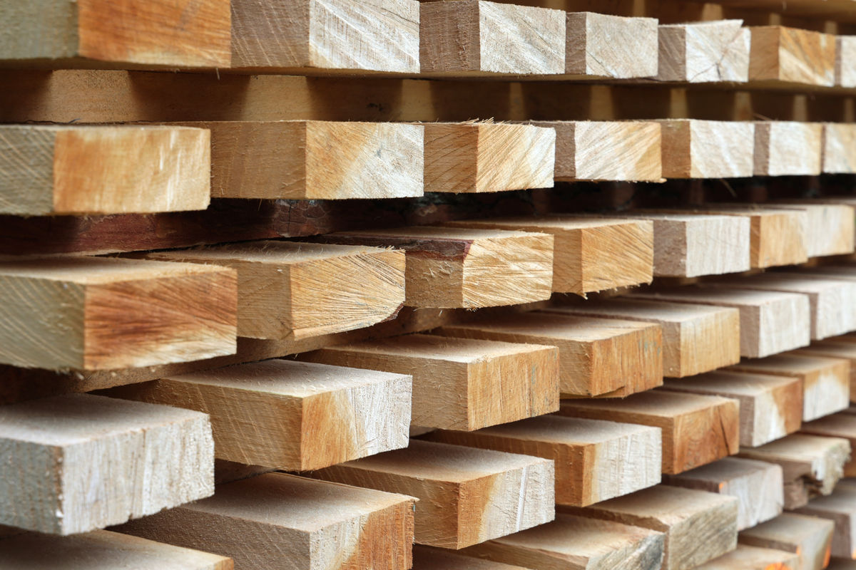 Drewno na dom – jakie drewno budowlane zapewnia najlepsze właściwości? - full image