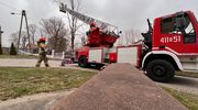 Powiat braniewski: Kilkanaście interwencji strażackich z powodu silnego wiatru