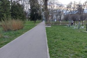 Park Traugutta: Problem z psami biegającymi luzem