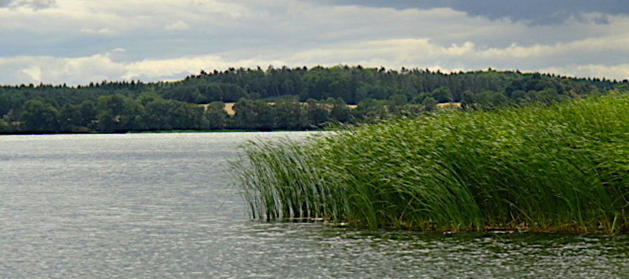 Jezioro Łąkorz — widok z plaży gminnej