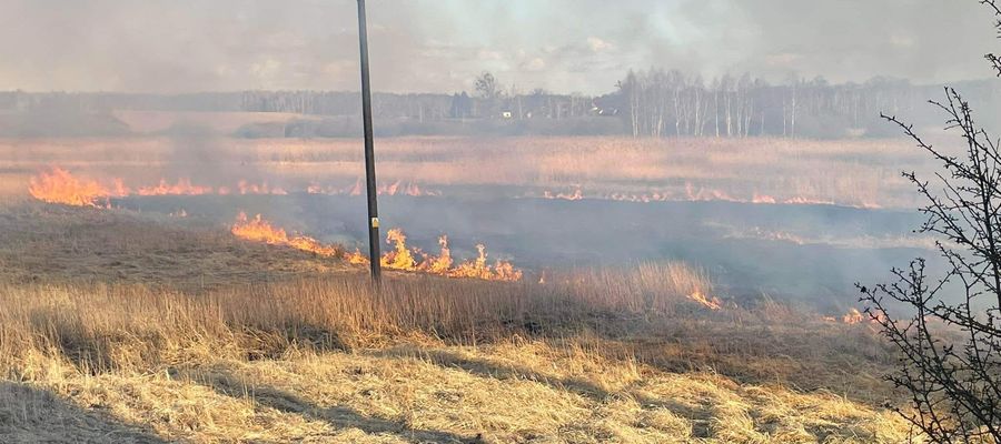 9 kwietnia: pożar trzciny przy trasie Łukta-Mostkowo. W działaniach brały udział dwa zastępy OSP Łukta