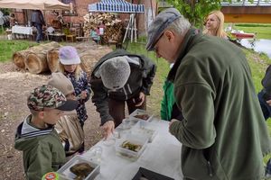 Przyrodę można obserwować wszędzie. Wkrótce piknik bioIŁAWA