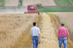 Biznes na wsi: coraz mniej czasu na złożenie wniosku o premię