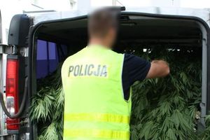 Powiat braniewski: Odpowiedzą za przestępstwa narkotykowe