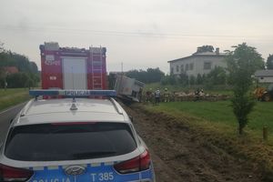 Przełęk w gminie Płośnica: 7 świń nie przeżyło tego wypadku