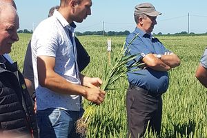 W Bartoszycach odbędą się II Warmińsko-Mazurskie Dni Pola