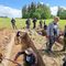 Zakończyły się badania archeologiczne na polach Grunwaldu