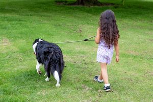10-letnia Ewelina z Nagórek chętnie wyprowadzi twojego psa za niewielką kwotę