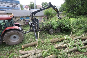 PKP na ul. Zientary-Malewskiej w Olsztynie ścięło drzewa. Dla sprawnych przejazdów pociągów