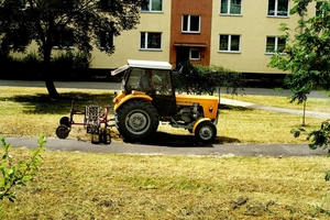 W Olsztynie tylko raz skoszą trawniki. Z oszczędności?