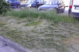 Miejskie porządki pod lupą