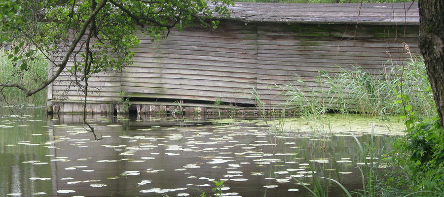 Podtopiona rybaczówka w Leśniewie