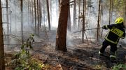 Pożar lasu w Wejdykach. 2 stopień zagrożenia pożarowego w lasach regionu