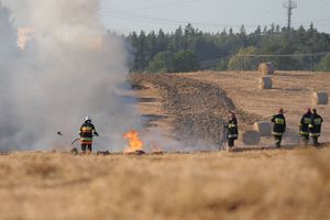 Warmińsko-mazurskie pola w ogniu. Od początku żniw strażacy mają co robić