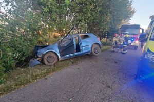 Zderzenie samochodu z drzewem