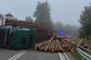 Pieniężno: Wypadek ciężarówki. Rozsypane drewno zablokowało drogę [ZDJĘCIA]