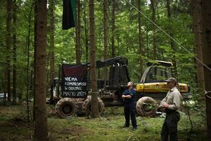 Aktywiści zaatakowani w lesie