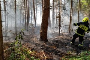 Pożar lasu w Wejdykach. 2 stopień zagrożenia pożarowego w lasach regionu