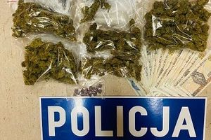 Handlarz narkotykami w rękach policji. Dzięki funkcjonariuszom 230 gramów marihuany nie trafi na czarny rynek w Olsztynie