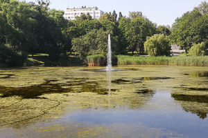 Prosto z ulicy: Park Jakubowo w Olsztynie jest zaniedbany. ZDZiT szuka pieniędzy na naprawy