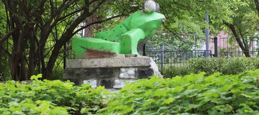 Żaba w parku Podzamcze w Olsztynie została pomalowana na zielono