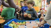 Ruszają dostawy owoców i warzyw oraz mleka dla uczniów w podstawówkach