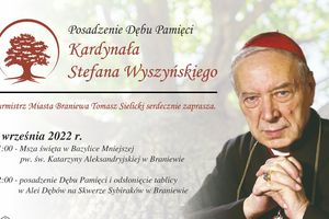 Dąb Pamięci kardynała Wyszyńskiego w Braniewie