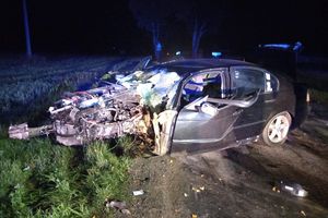 Pijany 19-latek z powiatu działdowskiego rozbił BMW na drzewie. Nastolatek trafił do szpitala