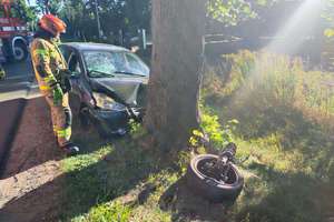 Braniewo: Peugeot dwa razy uderzył w drzewo
