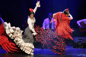 Lubisz flamenco?