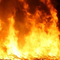 Pożar w Dobrej Woli - spłonął budynek oraz kilkaset sztuk drobiu