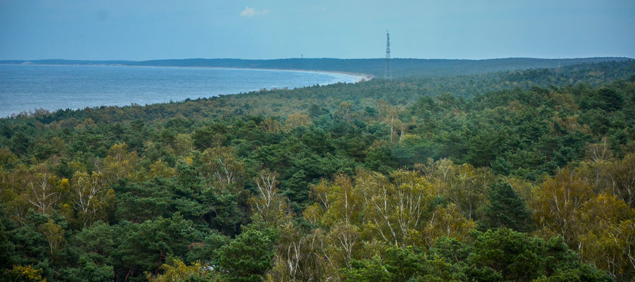 Widok na lasy Mierzei Wiślanej z latarni w Krynicy Morskiej