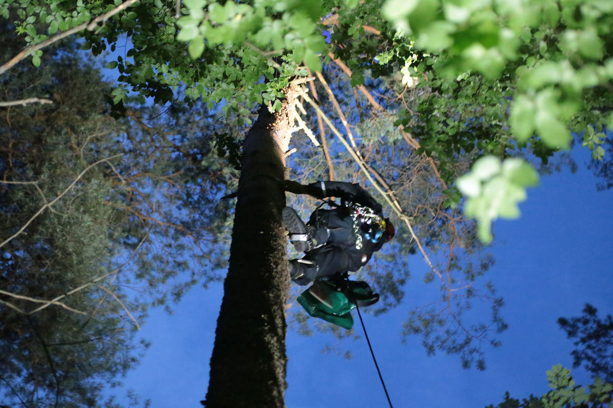 Zdjęcie jest ilustracją do tekstu.
Akcja z 2018 r. Dorotowo - Stawiguda, motolotniarz na czubku drzewa.