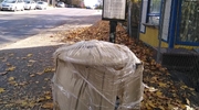 Prosto z ulicy: Folia na koszach na śmieci. Po co?