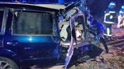 Kompletnie pijany uderzył w drzewo. Z pomocą przyszedł mu policjant po służbie