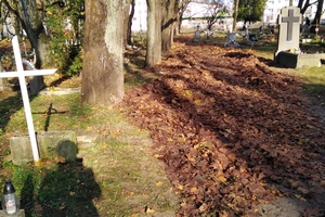 Cmentarz św. Józefa w Olsztynie wysprzątany. Czytelniczka: Dlaczego na jednej z głównych alejek pozostawiono hałdy liści? 