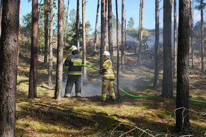 Nadleśnictwo Zaporowo: Będzie pożar lasu i gaszenie ognia helikopterem. W sobotę odbędą się ćwiczenia taktyczno-bojowe BAZA 2022