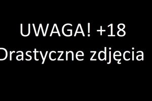 Kolejna rosyjska zbrodnia: Rosjanie zabili na drodze 20 cywilów