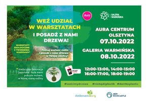 Posadź z nami 4 tys. drzew w Olsztynie