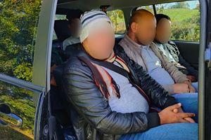 Funkcjonariusze Straży Granicznej zatrzymali nielegalnych migrantów. 4 obywateli Egiptu i Syryjczyk przekroczyli granicę z Litwy do Polski