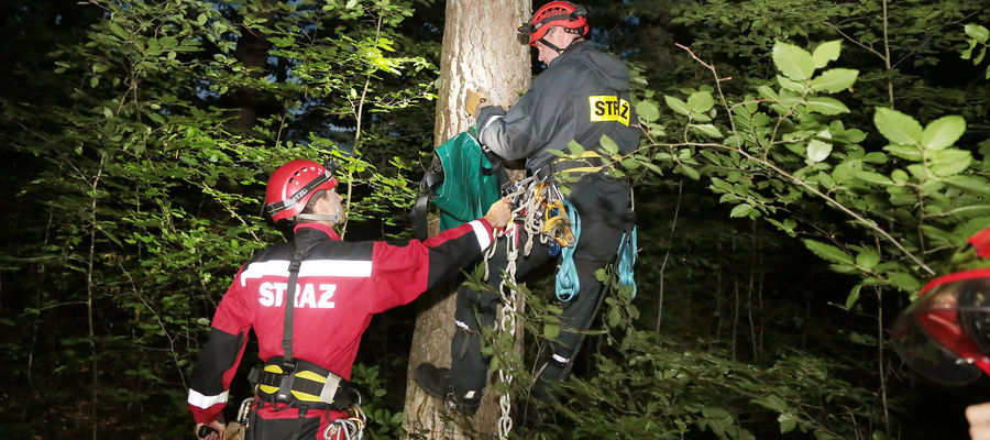 Zdjęcie jest ilustracją do tekstu.
Akcja z 2018 r. Dorotowo - Stawiguda, motolotniarz na czubku drzewa.