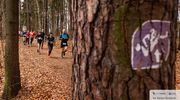 City Trail: ponowne zwycięstwa triumfatorów sprzed miesiąca