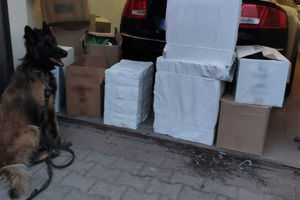Olsztyńscy policjanci zatrzymali 50-latka. Mężczyzna ukrywał 6 tysięcy paczek papierosów oraz ponad 8 kilogramów krajanki tytoniowej