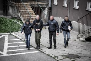 Elbląg: Podejrzany o atak maczetą na Topolowej trafił do aresztu