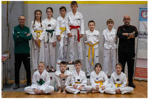 Międzywojewódzkie Mistrzostwa Młodzików w Taekwondo 