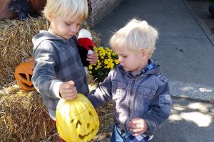 List od czytelnika: Halloween po olsztyńsku, czyli psikus zamiast cukierka
